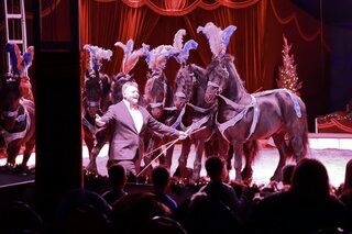 Pferde Show Circus Alaska Weihanchtszirkus 2023/2024