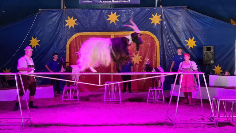 Tolle Show des Circus Alaska für Groß und Klein auch in Ihrer Stadt