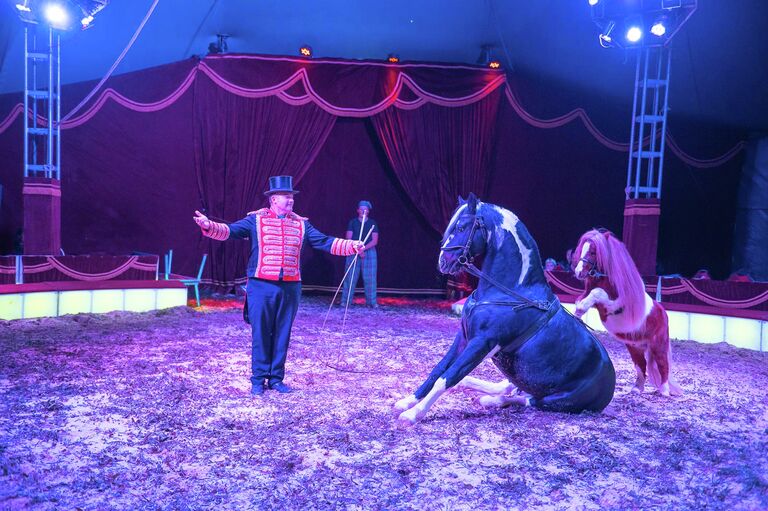 Zirkus Alaska Pferde Show mit Alois Frank
